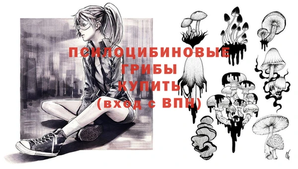 2c-b Абдулино