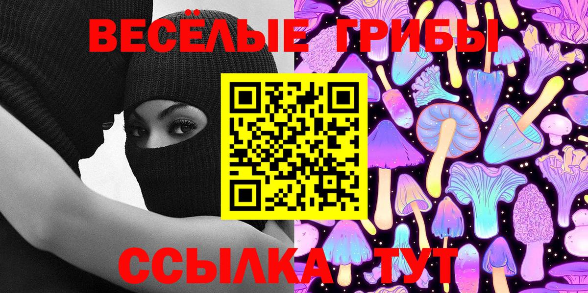 Псилоцибиновые грибы Psilocybe  Вход с VPN  Сорочинск 